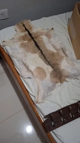 Tapete de Pele de animal natural para decoração