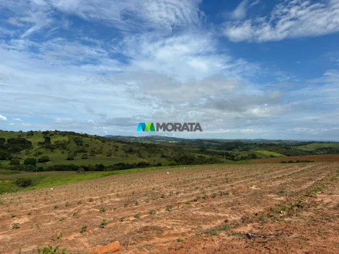 FAZENDA À VENDA - 77 HECTARES - BOM SUCESSO (MG)
