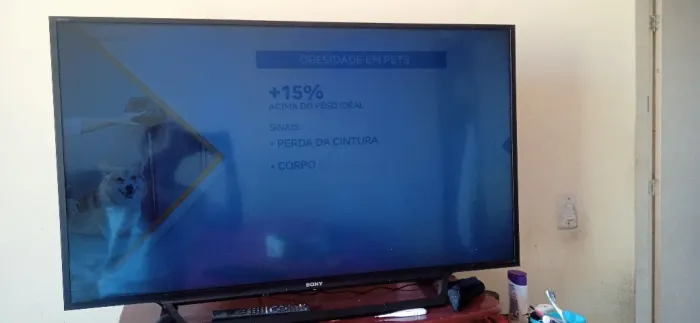 Duas Tvs Sony