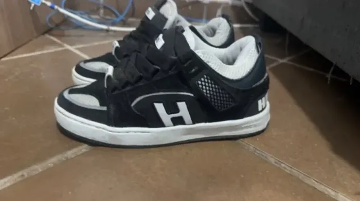 Hocks bold