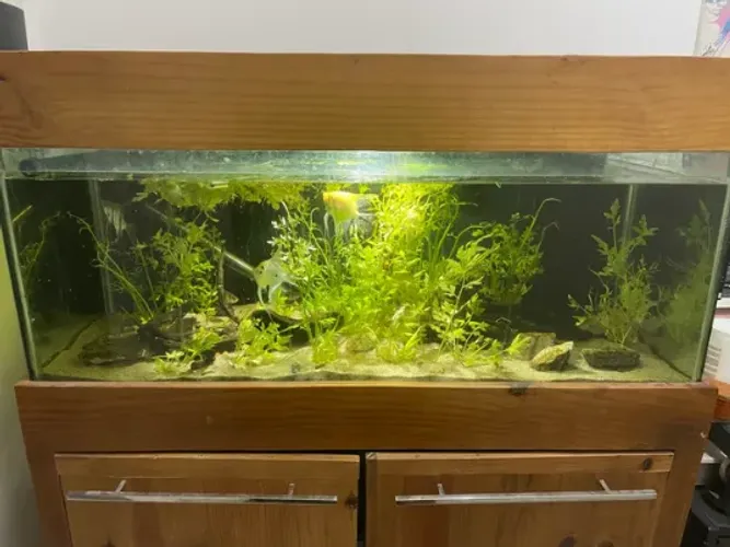 Aquário 140L Completo 