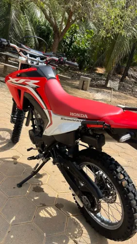Honda XR 300l Tornado Flex 2025