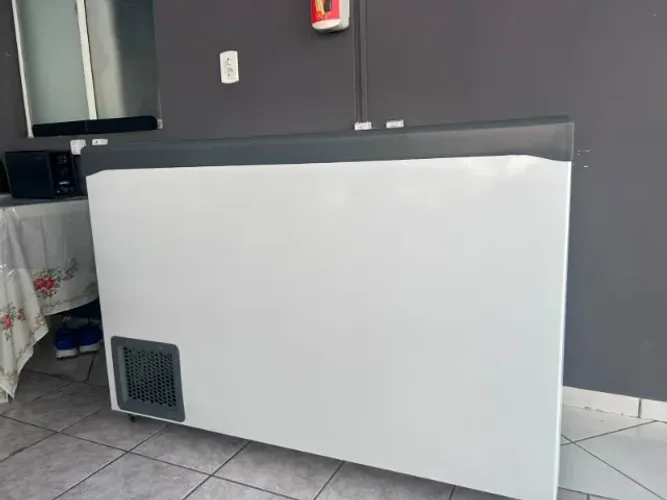 Freezer Horizontal + 3 cestos de picolés 