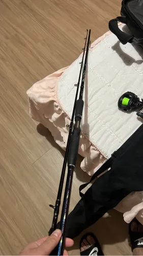 Vara de pesca SAINT giant
