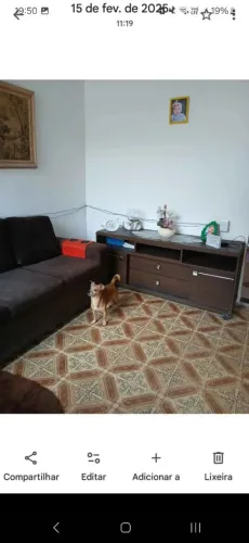 Sofá conjunto 2 e 3 lugares lindoo