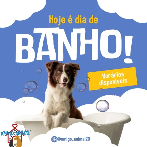 Banho e tosa a domicílio 