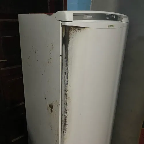 Vendo uma geladeira fross free