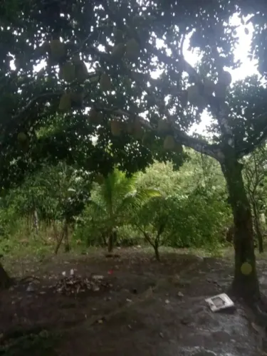 Estou vendendo um terreno em bonito próximo as cachoeiras Veu da noiva tbm troco por moto