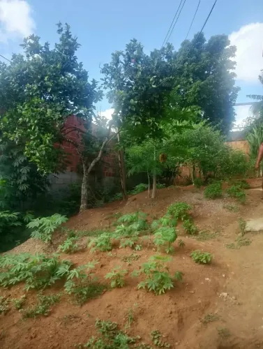 Oferta,terreno a venda. No cassagem