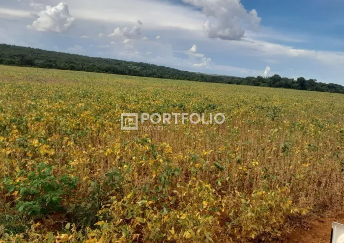 Fazenda à venda, Ribeirãozinho, MT