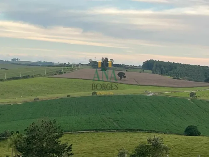 Fazendinha de 49 alqueires, em São Miguel Arcanjo