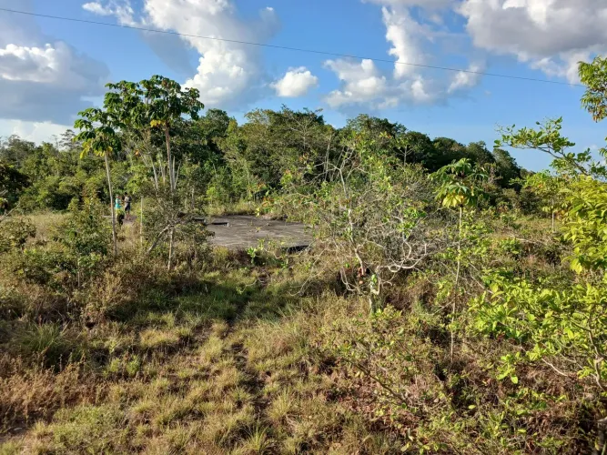 Sitio à Venda