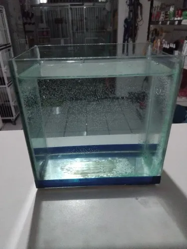 Mini aquário 