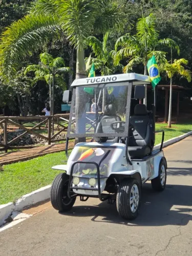 carrinho de golfe eletrico