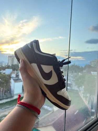 Nike Dunk Low cacao wow