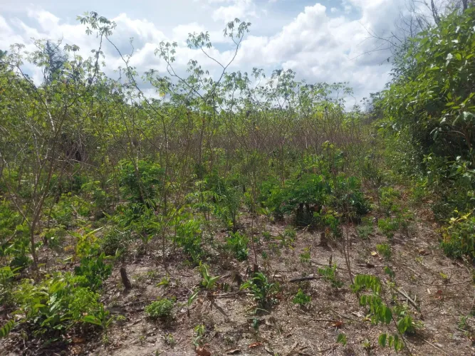 Vendo ou troco terreno agrícola 2 km de terra alta