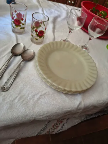 Kit de pratos, colheres,copo e taça
