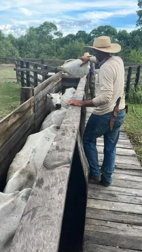 Fazenda aptidão pecuária a 140 km de Cuiabá