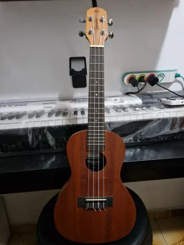 Ukulele Giannini Start (4 meses de uso)