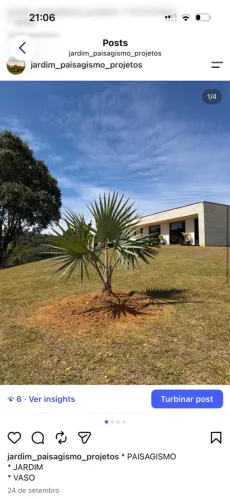 Jardineiro Paisagismo Deck Projetos Pergolado plantas Gramas Drenagem 