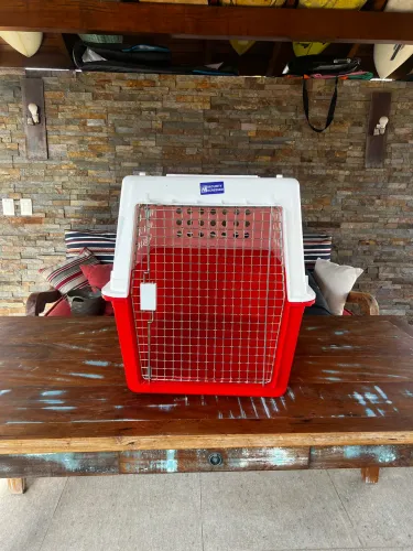 Caixa de transporte de cães, padrão para viajem aérea internacional, tamanho 82X 56X 60.