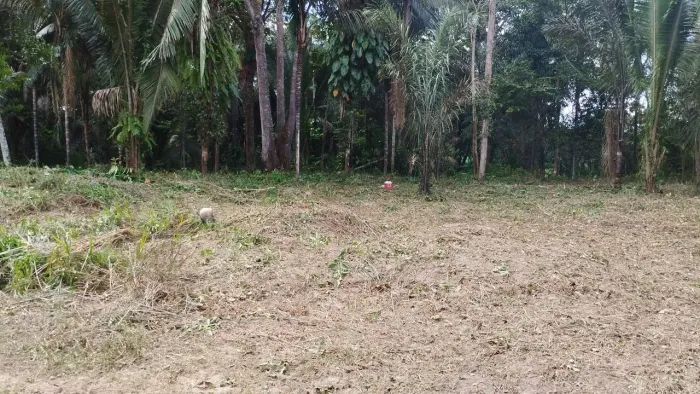 Vendo Terrenos