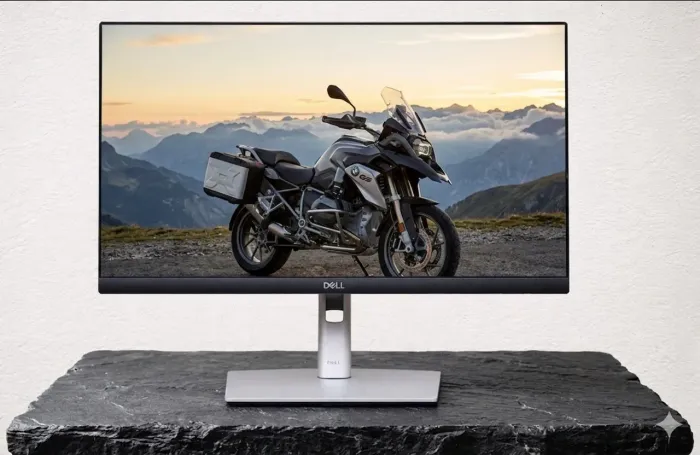 Monitor DELL P2422H 24 polegadas