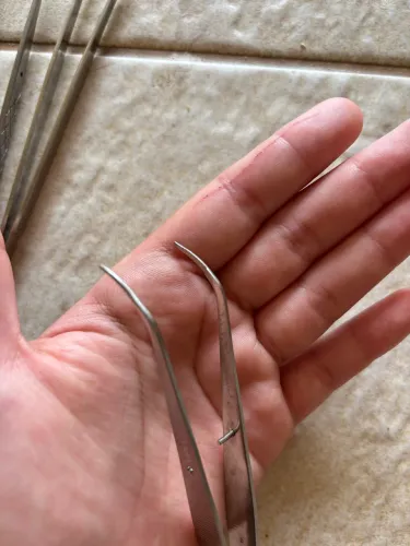 Kit com 5 pinças clínicas 