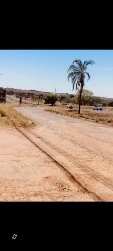 Ágil de lote grande luziania