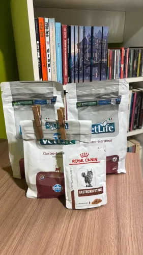 Ração Gastrointestinal Vetlife Gatos
