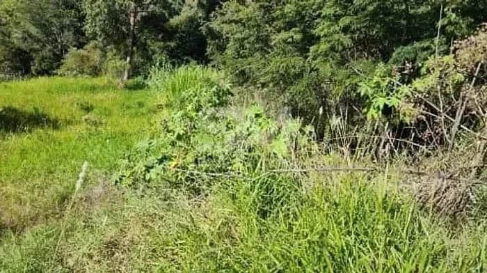 Terreno à venda, Mirante do Trevo, Cordilheira Alta, SC