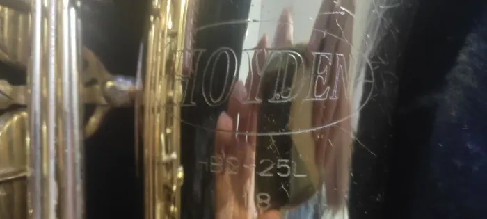 barítono hoyden
