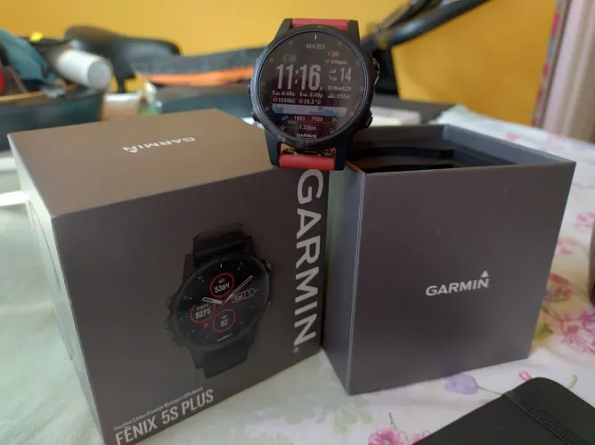 Garmin fênix 5S plus