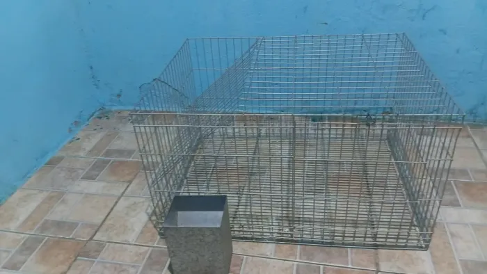 Gaiolas pra galinha