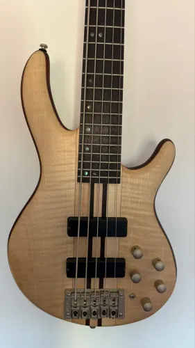Cort A5 Plus FMMH Maple Bartolin