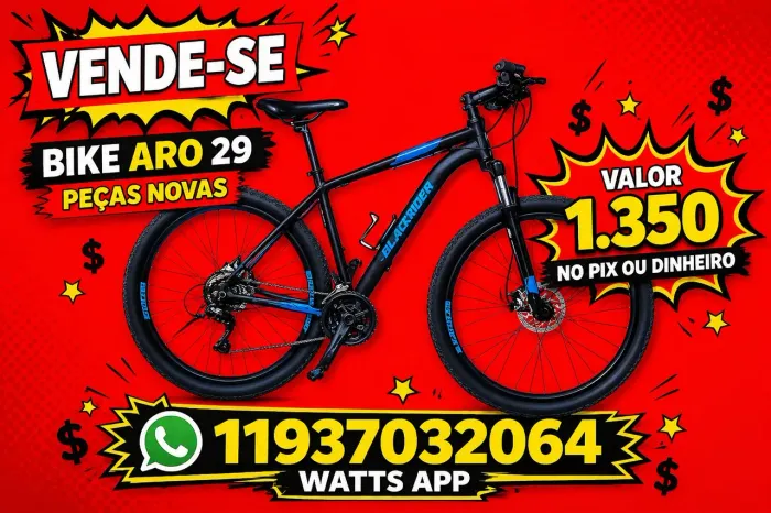 BICICLETA ARO 29