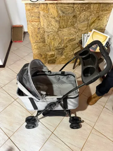 Carrinho de passeio pet da fisher price