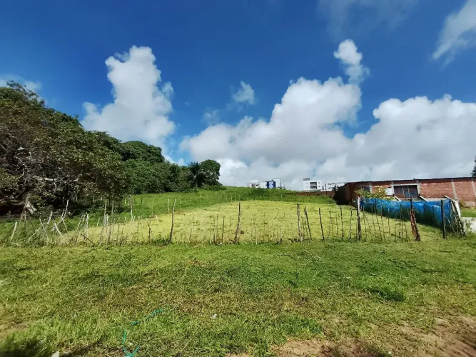 Terra boa pra vender 