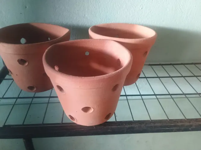 Vasos
