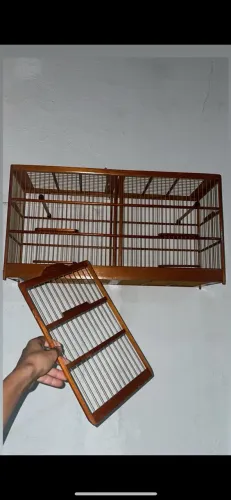 Voador passarinho 