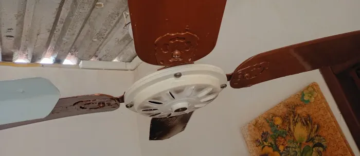 Ventilador de teto