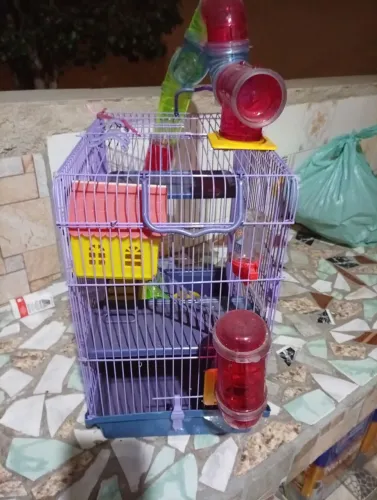 Gaiola para Ramister