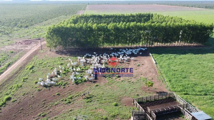 ## Fazenda à Venda ##