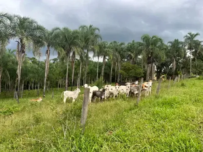 Fazenda municipio FecaL, Brasilia-DF