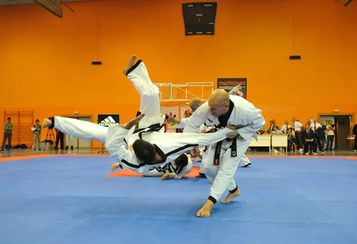 HAPKIDO  Curso de Defesa pessoal C/ Certificado