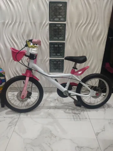 Imperdível linda bicicleta infantil no precinho