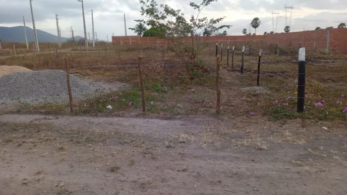 5 LOTES , CADA UM MEDINDO 6X25 =750m