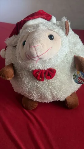 Ovelhinha Nova!!!!