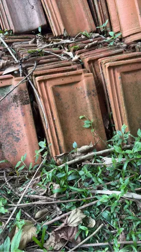 Vendo telhas germânicas