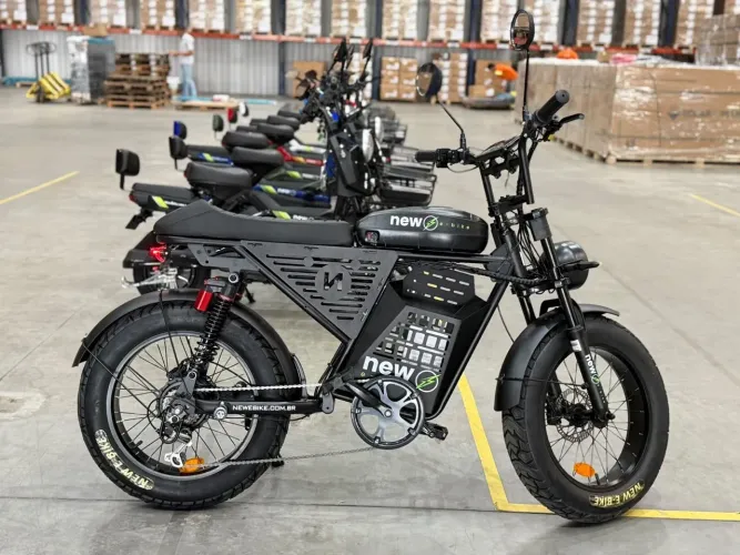 Bicicleta Elétrica New E-Bike Rider Pro 1000W 48V 20Ah